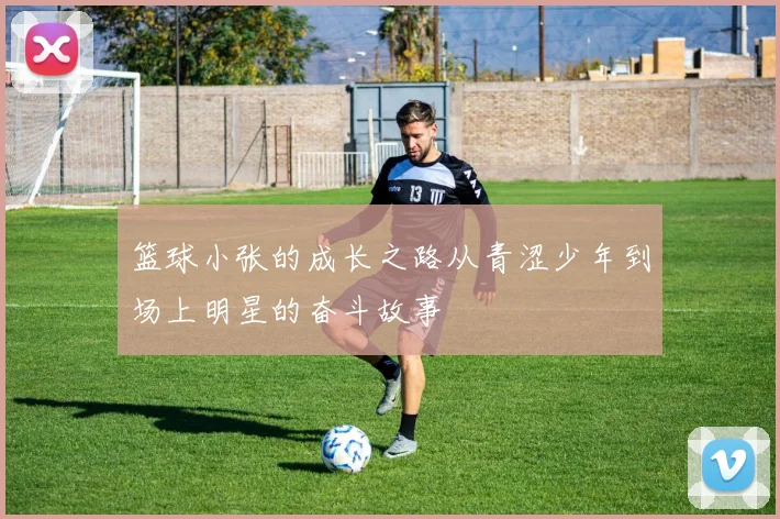 篮球小张的成长之路从青涩少年到场上明星的奋斗故事